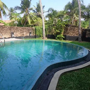 Star White - Negombo Шри-Ланка